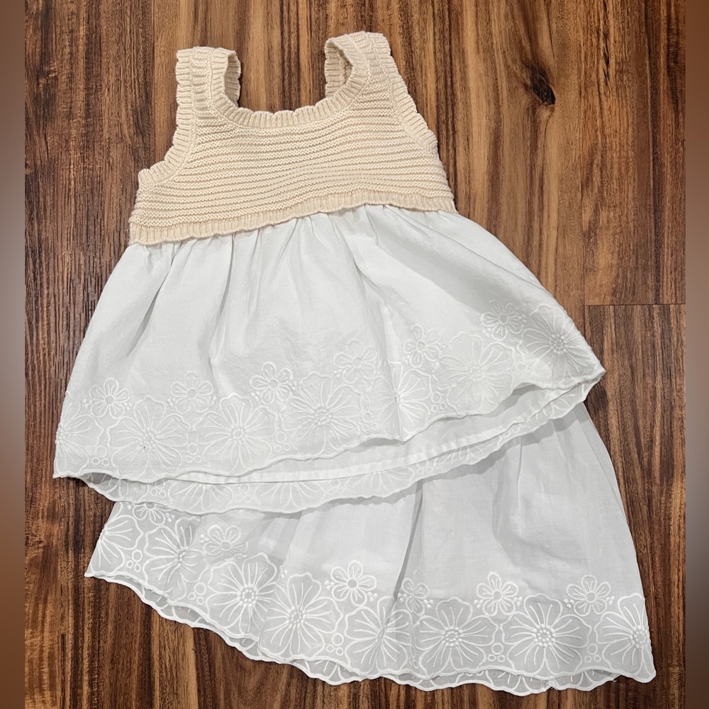 Haute Hippie Cream and White Floral Skirt